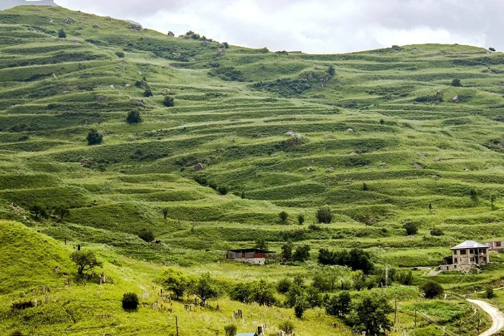 Чохские террасы